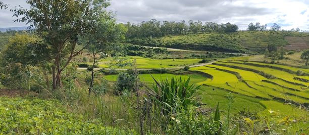 Immobilier à Madagascar